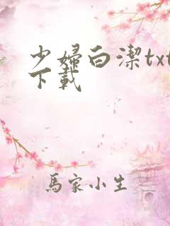 少妇白洁txt下载