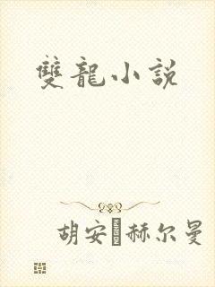 双龙小说