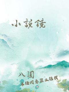 小说镜