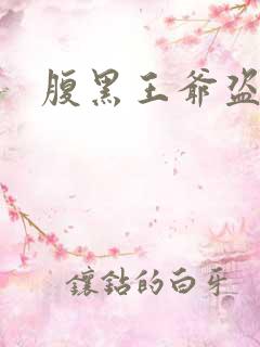 腹黑王爷盗墓妃