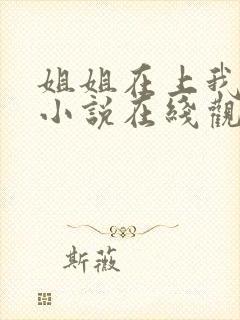 姐姐在上我在下小说在线观看