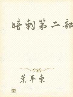 暗刺第二部