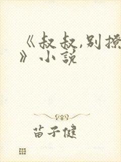 《叔叔,别撩我》小说