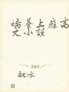 娇养上瘾高H爽文小说