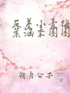 反差小青梅不经叶涵季园园