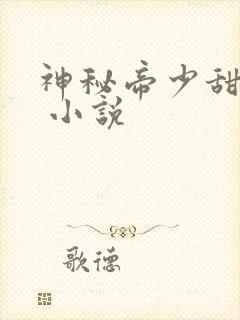 神秘帝少甜宠妻 小说