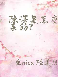 陈泽是怎么火起来的?