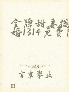 金牌甜妻总裁宠婚1314免费阅读