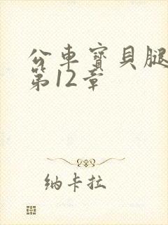 公车宝贝腿开点第12章