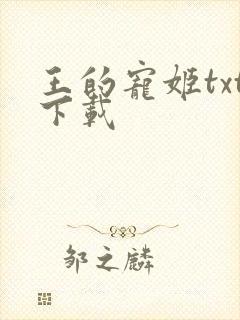 王的宠姬txt下载