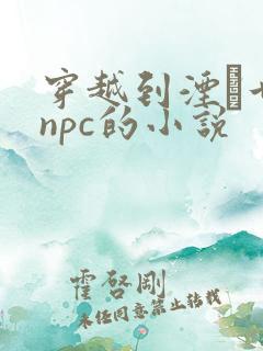 穿越到湮婸世界npc的小说