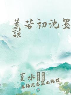 叶若初沈墨寒小说