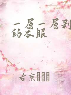 一层一层剥开我的衣服