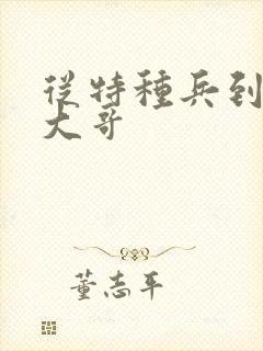 从特种兵到黑道大哥