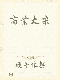 商业大宋