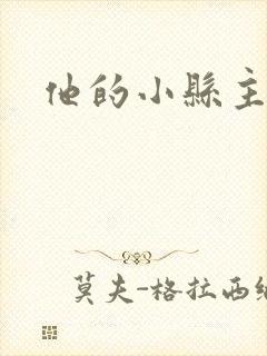 他的小县主