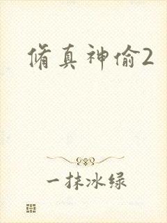 修真神偷2