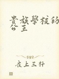 贵族学校的双面公主