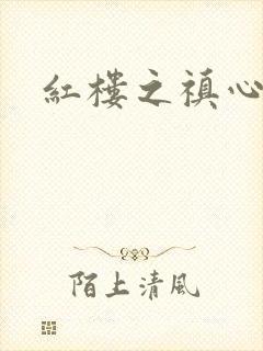 红楼之禛心锁玉