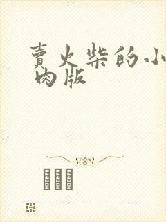 卖火柴的小男孩 肉版