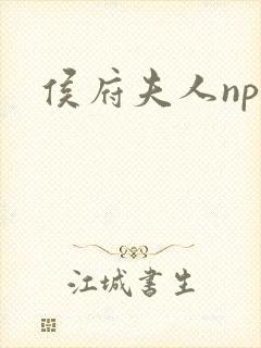 侯府夫人np