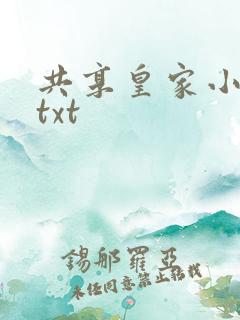 共享皇家小公主txt