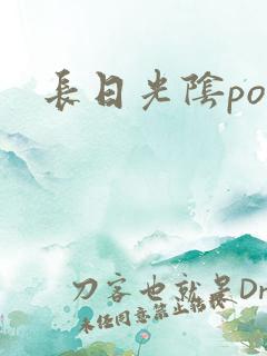 长日光阴po