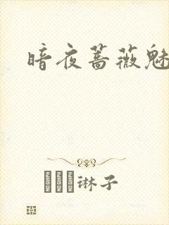 暗夜蔷薇魅之伤