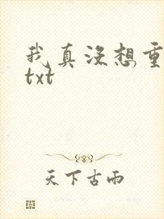 我真没想重生啊txt