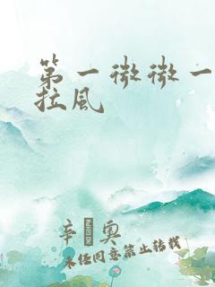 第一微微一笑很拉风