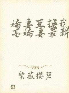 娇妻互换我的漂亮娇妻最新章节