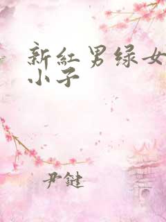 新红男绿女之坏小子