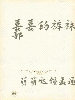 嘉嘉的裤袜第二部