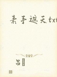素手遮天txt