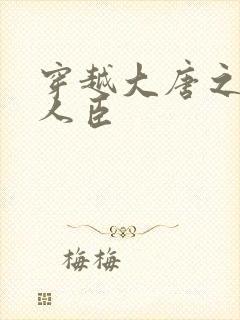 穿越大唐之位极人臣