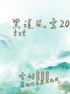 黑道风云20年 txt