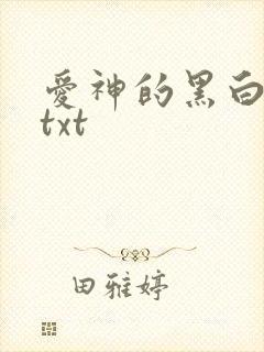 爱神的黑白羽翼txt