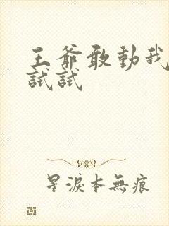 王爷敢动我妈咪试试