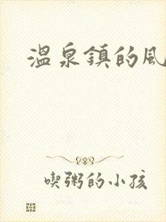 温泉镇的风流事