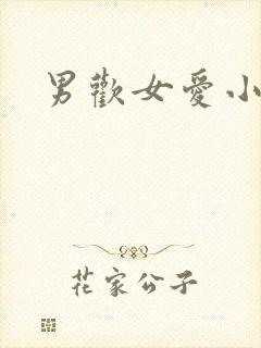 男欢女爱小说