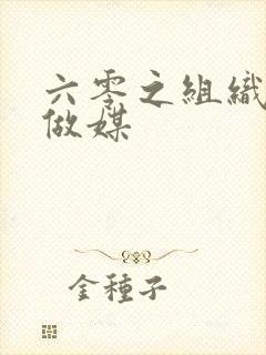 六零之组织给我做媒