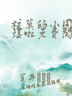 校草的小同桌撩爆啦免费阅读