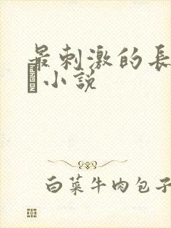 最刺激的长篇乱惀小说