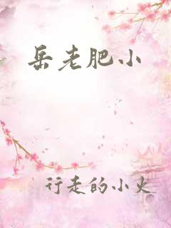 岳老肥小