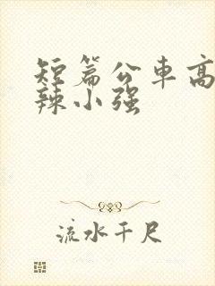 短篇公车高h肉辣小强
