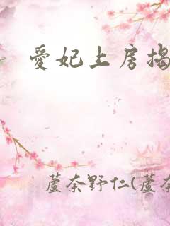 爱妃上房揭瓦