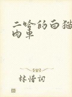 二哈的白猫师尊肉车