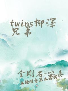 twins柳泽兄弟