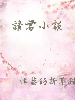 请君小说