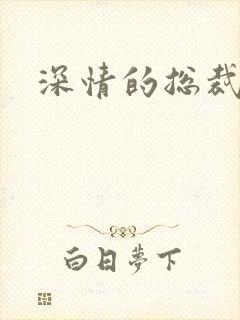 深情的总裁儿子